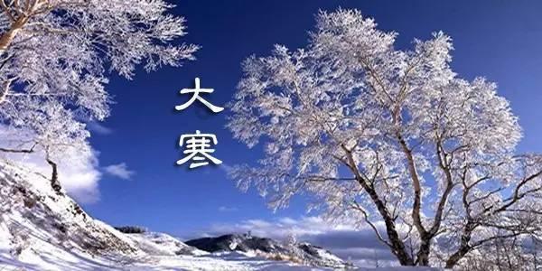 小猫钓鱼正版下载中文版