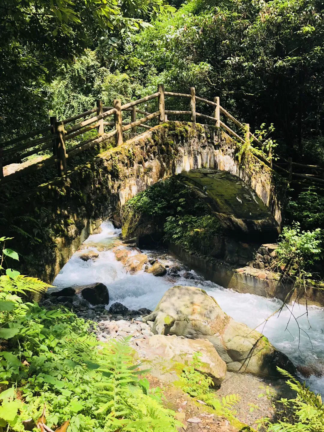 拯救精灵的土地10